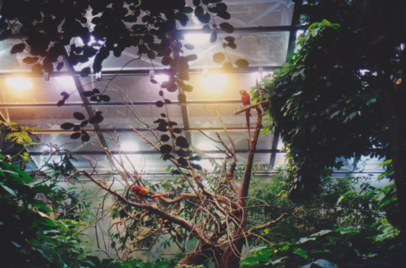 Jardín Botánico.