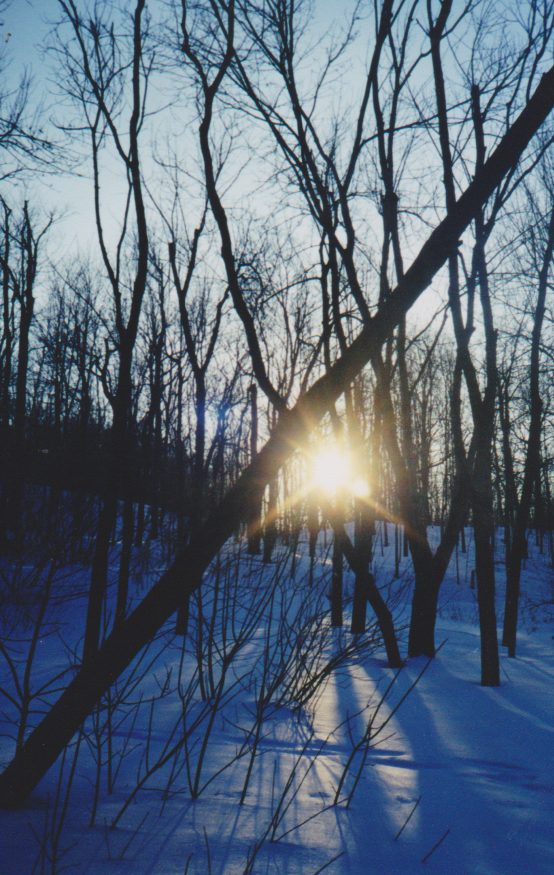 Atardecer en Mount Royal.