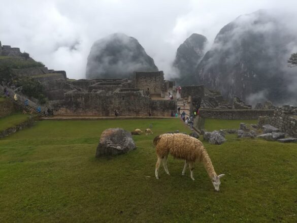 Panorámica de Machu Picchu.