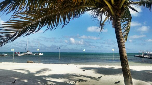 Uno de mis días en Caye Caulker, Belice.