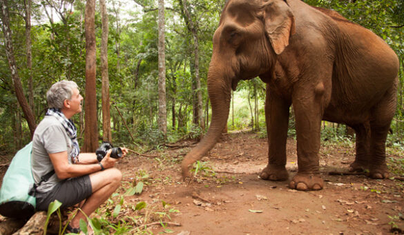 Un ejemplo de respeto y conciencia con animales. Getty Images.