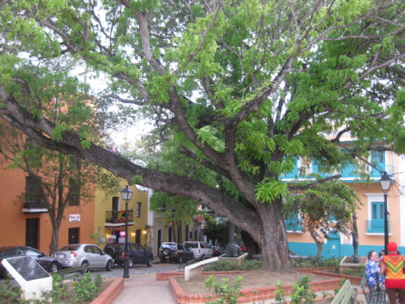 Típicas casas del Viejo San Juan.