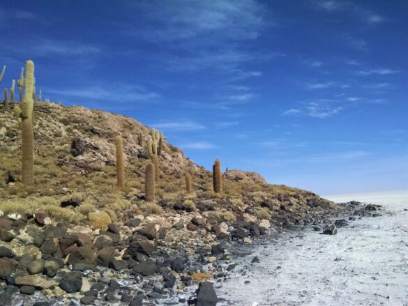 Parte de  la Isla Incahuasi